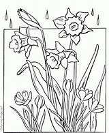 Coloring Spring Pages Flowers Flower Kids Color Rainy Printable Sheets Drawing Adults Rain Colouring Book Pretty Clipart Kid Adult Line sketch template
