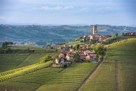 wine  piemonte manuelina culinary