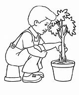 Tree Cartoon Drawing Clipart Plantation Coloring Trees Easy Plant Kids Arbor Drawings Getdrawings Library sketch template