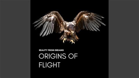origins  flight youtube