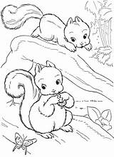 Squirrel Coloring Pages Baby Colouring Choose Board Getcolorings sketch template