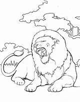 Lion Kids Coloring Korner Pages Animals Dmg Yawn Enterprises Provided Sized Network sketch template