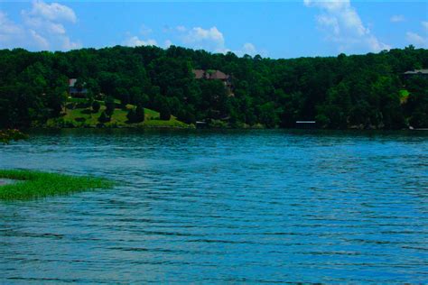 floridan blogger t town photo of the day lake tuscaloosa