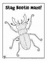 Beetle Maze Mazes Bug Insect Printable sketch template