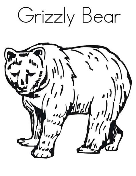 grizzly bear coloring pages gfg