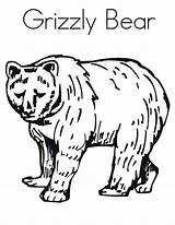 Bear Coloring Grizzly Pages Drawing Line Print Getdrawings sketch template