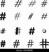 Sign Hashtag Isolated Hash Number Background Stock Vector Symbol Tag Social Illustration Alamy Symbols Signs Transparent Collection Vectors Similar sketch template