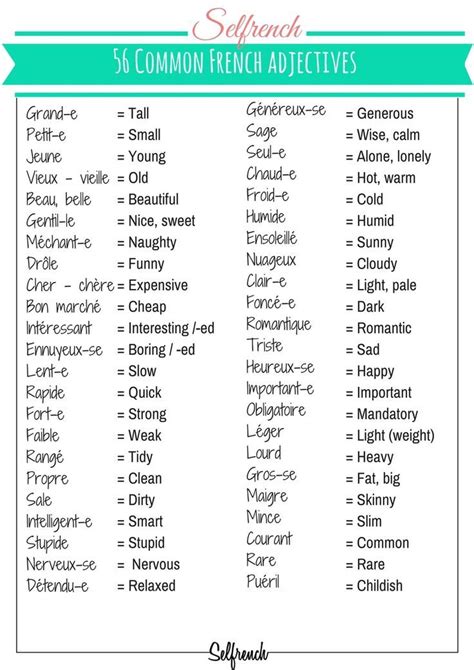 freebies french adjectives learn french learn french