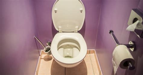 vinegar  clean hard stains   toilet huffpost canada