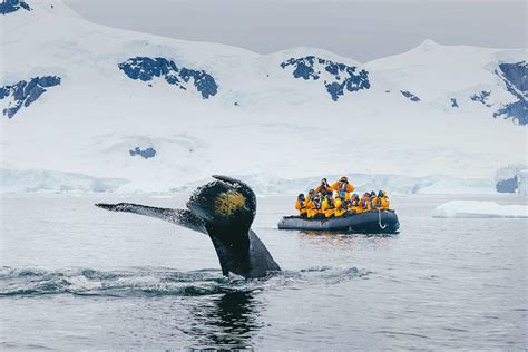 14 Day Ultimate Antarctica Expedition Cruise Plus Fly The Drake Passage