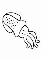 Squid Coloring Cute Pages Game Print Printable Categories Baby Books Similar sketch template