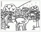 Coloring Pages Scene Jungle Forest Popular Animals sketch template