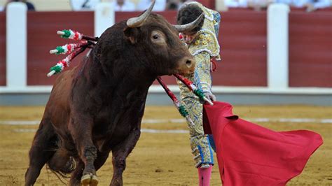 Activists Try To Protect Bullfighting In Spain Fox News
