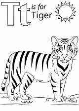 Letter Tigre Disegno Supercoloring Colouring Cartoons Preschooler Bianca Coloringareas sketch template