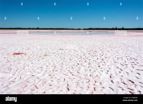 salt lake in little desert national park in victoria australia stock