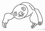 Sloth Coloring Pages Toed Two Simple Line Printable Three Color Kids Getcolorings Print sketch template