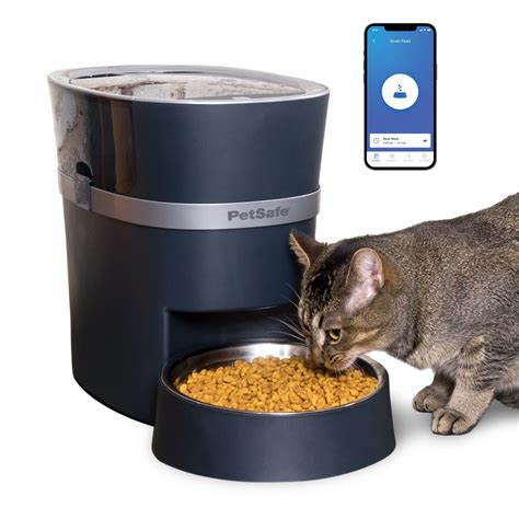 petsafe smart feed automatic dog  cat feeder petco