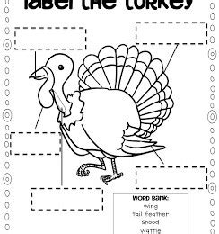 turkey printables archives  homeschool deals