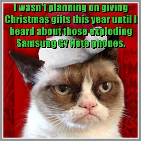 For Just This Once I M In The Christmas Spirit Lolcats