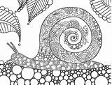 Coloring Snail sketch template