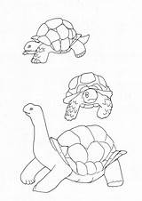 Coloring Yertle Turtle Pages Popular Library Clipart Coloringhome Sketch sketch template