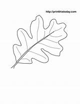 Leaf Autumn Oak Printable Coloring Fall Pages Stencil Leaves Template Patterns Traceable Color Acorn Stencils Clipart Templates Oakleaf Library Popular sketch template