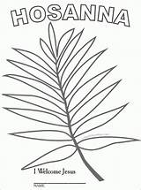 Palm Sunday Coloring Branch School Kids Leaf Template Easter Crafts Pages Drawing Craft Preschool Activities Lesson Color Children Print Getdrawings sketch template