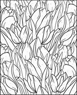Color Number Coloring Pages Paint Numbers Adult Creative Haven Adults Floral Flower Dover Flowers Designs Printable Tulip Publications Drawing Books sketch template