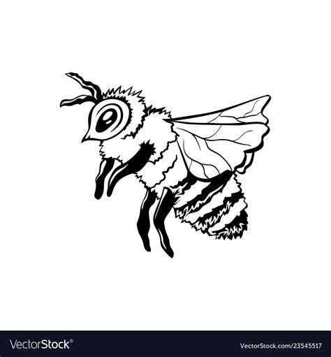 black outline sketch  honey bee royalty  vector image