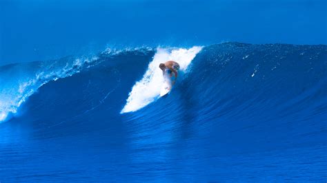 blog  journey   surfing surf strength coach