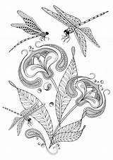 Coloring Dragonfly Pages Adults Adult Printable Colouring Dragon Dragonflies Butterflies Books Mandala Flower Flies Illustration Etsy Vintage Getdrawings Coloriage Plantillas sketch template