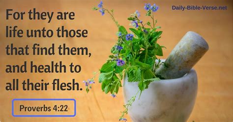 daily bible verse physical healing proverbs  kjv
