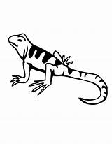 Lizard Coloring Pages Cartoon Kids Lizards Color Printable Clip Clipart Gecko Cliparts Print Graphics Drawings Library Popular Lizzard Choose Board sketch template