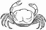 Crab Hermit Clipartmag Crabs Cliparting sketch template