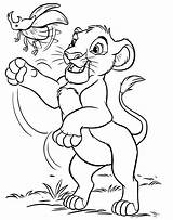 Lion King Coloring Disney Characters Simba Pages Large sketch template