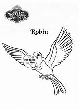 Robin Bird Coloring Pages Kids Girls Sofia First Disney Visit sketch template