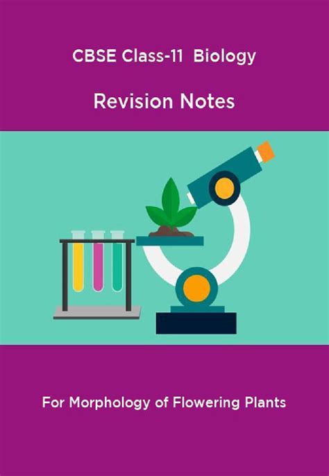 download cbse class 11 biology revision notes for morphology of