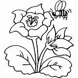Bee Coloring Pages Print Color sketch template