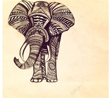 zentangle elephant art pinterest elephants  zentangle