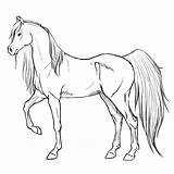 Arabian Lineart Coloring Pages Deviantart Horses Unicorn sketch template
