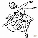 Swan Lago Colorare Schwanensee Cigni Colorear Disegni Cisnes Supercoloring Jezioro Cigno Ausmalbild Balletto Bambini Kolorowanki Ballett Kategorien Ausdrucken Kostenlos sketch template