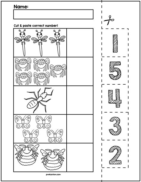 insect counting numbers   worksheets worksheetscity