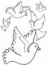Mewarnai Palomas Burung Duiven Dara Bandada Tauben Dieren Merpati Ausmalbilder Pigeon Malvorlagen Animasi Colorare Bergerak Coloriages Pombos Malvorlage Colorir Pigeons sketch template