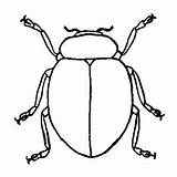 Coloring Pages Bug Ladybug Cute Stink Beetle Beetles Designlooter Drawings 300px 94kb Simple Getdrawings Getcolorings 24kb 756px sketch template