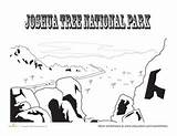 Joshua Tree Coloring National Park Designlooter Landscape 55kb 270px sketch template