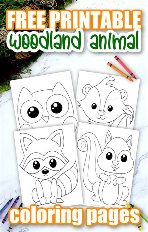 printable woodland animal coloring pages animal coloring books