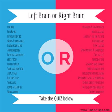 left brain   brain   quiz
