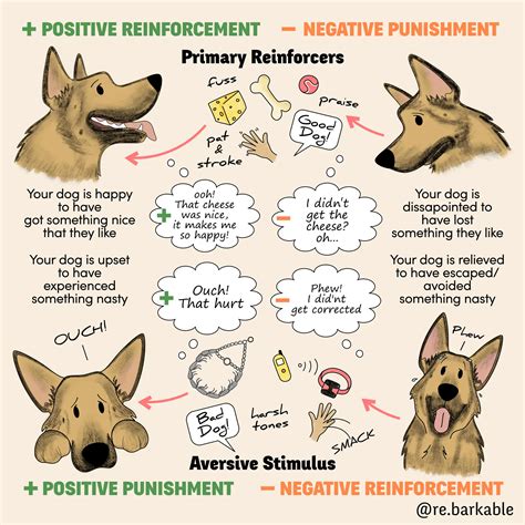 operant conditioning  dog training  rebarkable