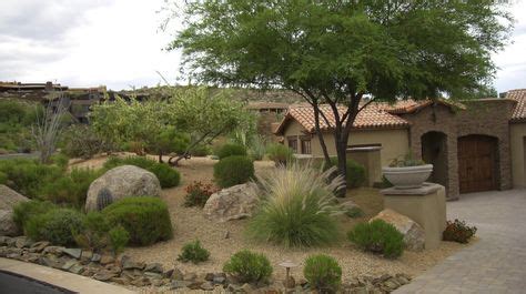 fabulous xeriscape ideas  great outdoors front yard