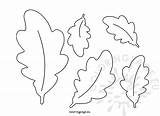 Leaf Acorn Leaves Templates Autumn Coloring sketch template